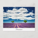 Search for avignon horizontal postcards Provence