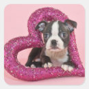 Search for love image stickers Cute