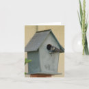 Search for blank nature cards Landscapes