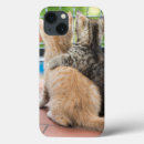 Search for getty electronics Cats