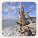Search for driftwood coasters Nautical