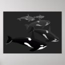 Search for orca art Black and white