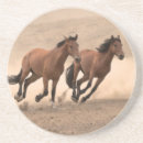 Search for home run coasters Field