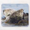 Search for grooming mouse mats Sea
