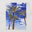 Search for highness postcards Hawaii