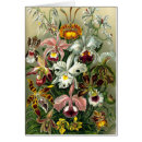 Search for haeckel cards Plants