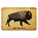 Search for bison magnets Buffalo