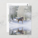 Search for appaloosa christmas cards Snow