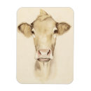 Search for cow animal magnets Farm