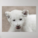 Search for lion kid art Cute