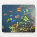 Search for aquarium fish mouse mats Tropical