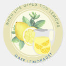 Search for life gives you lemons stickers Encouragement