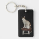 Search for calico key rings Kitten