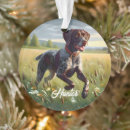 Search for pointer dog christmas tree decorations Cute