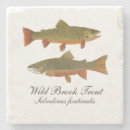 Search for trout coasters Salmon