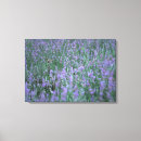 Search for fields canvas prints Animal