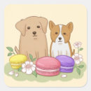 Search for cute macaron stickers Adorable
