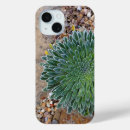 Search for succulent iphone cases Desert