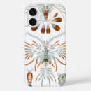 Search for crustacean iphone cases Marine life