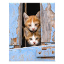 Search for shabby posters Funny