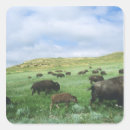 Search for theodore stickers Bison