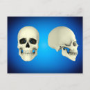 Search for human bones postcards Human body parts