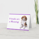 Search for beagle puppies cards Friendship