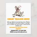 Search for trainer flyers Veterinarian