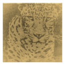 Search for leopard portrait posters Animals