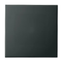 Search for teal color tiles Plain