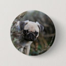 Search for peered badges Dog