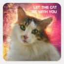 Search for funny kitty stickers Green eyes