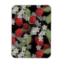 Search for berries magnets Black