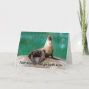 Search for mammals cards Water