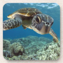 Search for backdrop coasters Animal