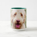 Search for mixed breed dog mugs Goldendoodle
