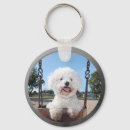 Search for bichon frise key rings Animal