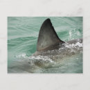 Search for threat horizontal postcards Risk