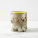 Search for sleepy dog mugs Labrador retriever