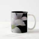 Search for botany mugs Flora