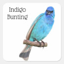 Search for indigo stickers Wildlife