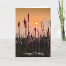Search for wetlands cards Cattail
