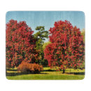 Search for maple chopping boards Tree