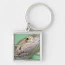 Search for dragon scales key rings Lizard
