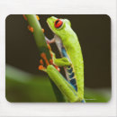 Search for tree frog mouse mats Stem