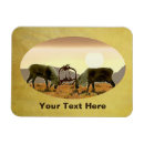 Search for carib magnets Reindeer