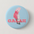 Search for galahs accessories Australia