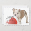 Search for english bulldog christmas cards Animals
