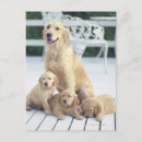 Search for relativity postcards Cute