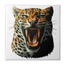 Search for roar tiles Cat